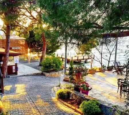 Odek's Seaview 아파트