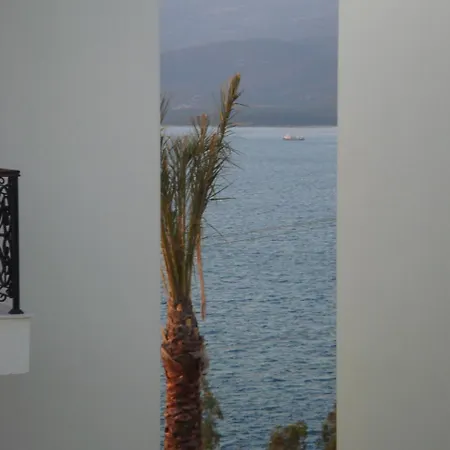 Odek's Seaview 아파트